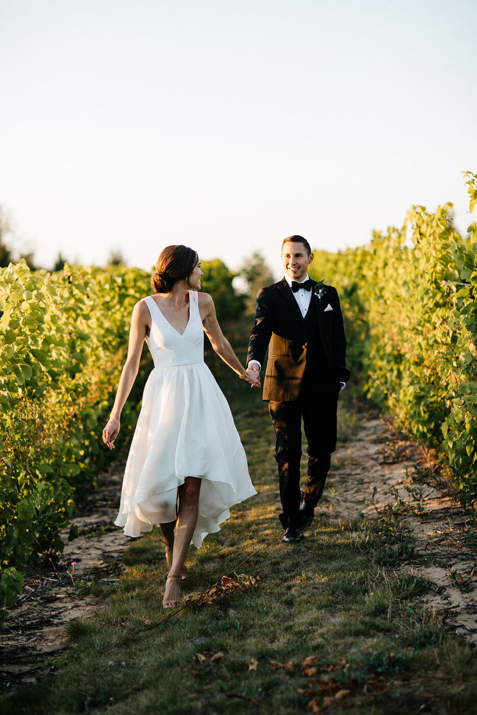 Wedding couple walking hand in hand through vineyard at sunset.