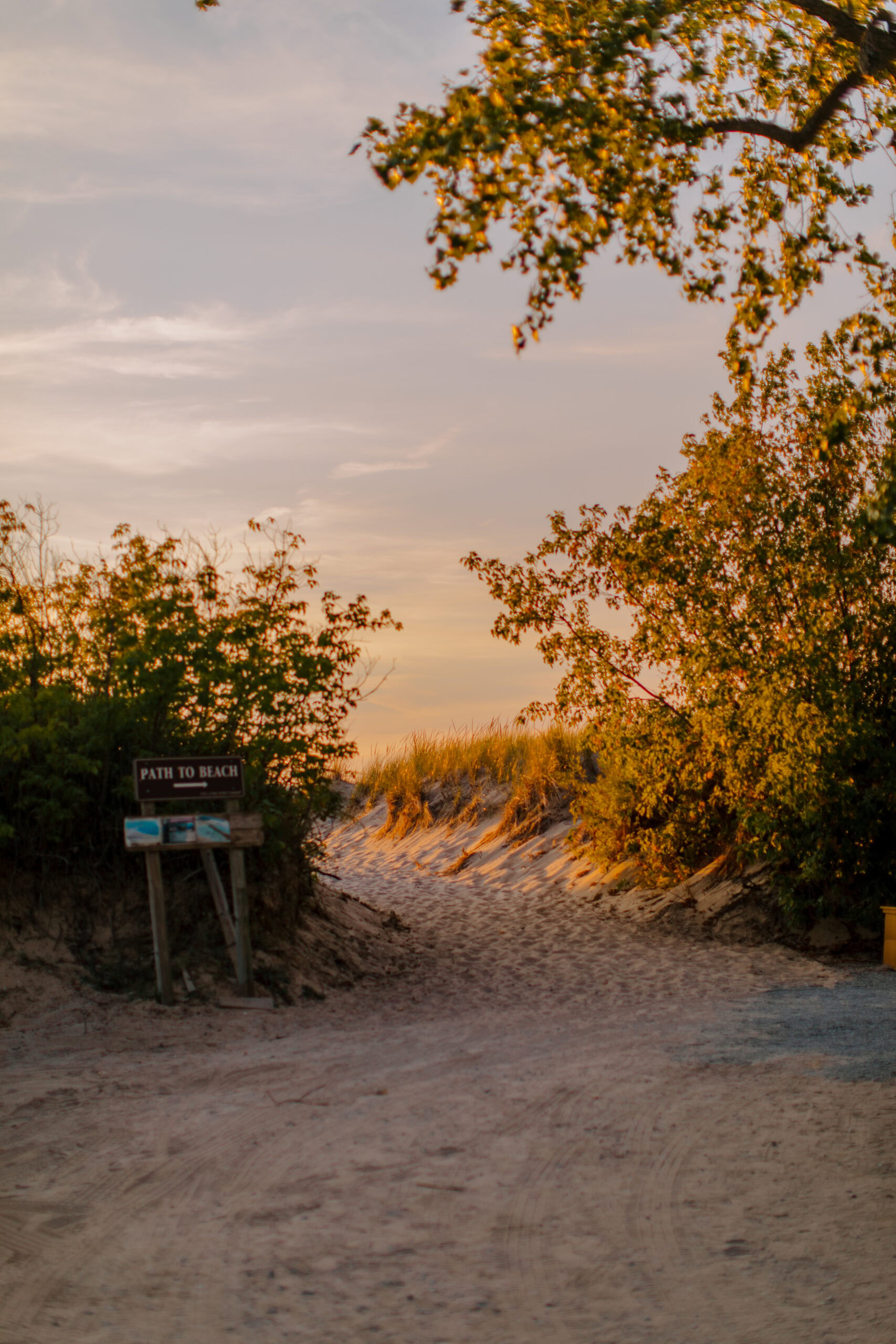 Sunset view at the beach entrance with trees and sandy path, perfect for wedding photos.