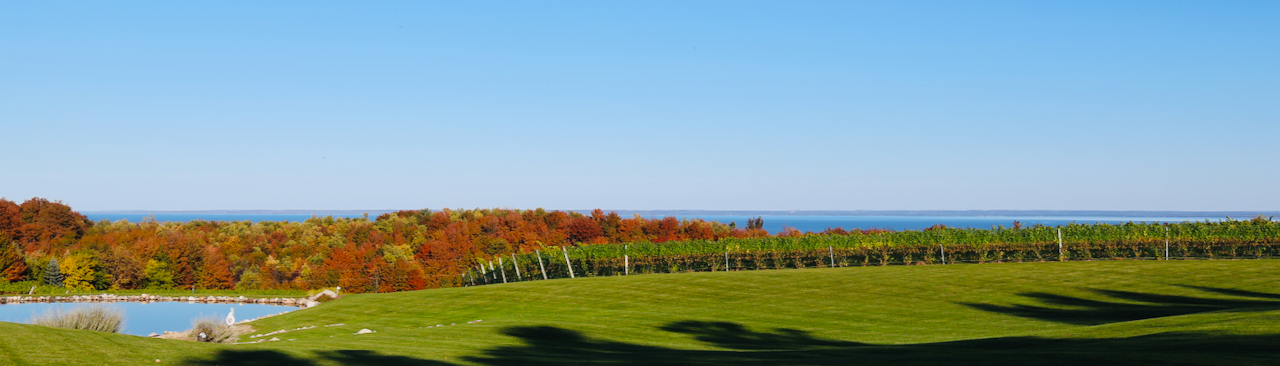 Scenic view of Verterra Winery with lush green vineyards and a blue sky.